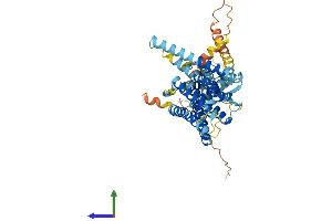 AlphaFold protein structure predicition of Human Recombinant TMEM39A Protein, UniprotID Q9NV64 (TMEM39A Protein (AA 1-488) (His tag))