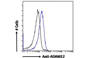 ABIN185301 Flow cytometric analysis of paraformaldehyde fixed HeLa cells (blue line), permeabilized with 0. (ADAM12 antibody  (N-Term))