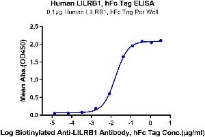 ELISA image for Leukocyte Immunoglobulin-Like Receptor, Subfamily B (With TM and ITIM Domains), Member 1 (LILRB1) protein (Fc Tag) (ABIN7275168)