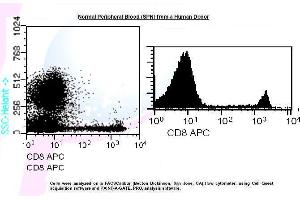 Image no. 1 for anti-CD8 (CD8) antibody (APC) (ABIN1112229)