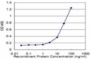 Detection limit for recombinant GST tagged PLEK is approximately 3ng/ml as a capture antibody. (Pleckstrin antibody  (AA 121-230))