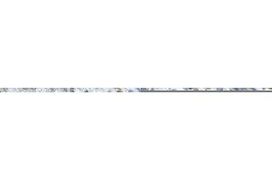 Rabbit Anti-HNRNPA0 Antibody       Paraffin Embedded Tissue:  Human cardiac cell   Cellular Data:  Epithelial cells of renal tubule  Antibody Concentration:   4. (HNRNPA0 antibody  (Middle Region))