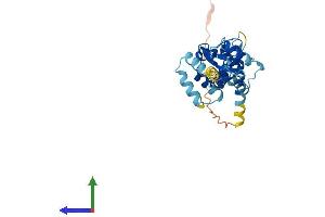 AlphaFold protein structure predicition of Human Recombinant MAGEB5 Protein, UniprotID Q9BZ81 (MAGEB5 Protein (AA 1-275) (His tag))