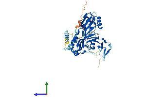 AlphaFold protein structure predicition of Mouse Recombinant Rpusd4 Protein, UniprotID Q9CWX4 (RPUSD4 Protein (AA 1-377) (His tag))