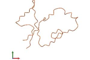 Protein Structure (PS) image for Keratin Associated Protein 7-1 (KRTAP7-1) (AA 1-87) protein (Fc Tag) (ABIN7548973)