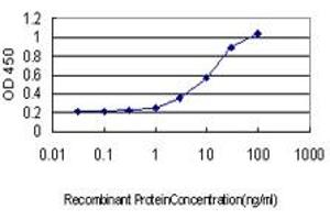 Detection limit for recombinant GST tagged GABBR1 is approximately 0. (GABBR1 antibody  (AA 52-151))