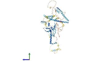 AlphaFold protein structure predicition of Human Recombinant UTP14C Protein, UniprotID Q5TAP6 (UTP14C Protein (AA 1-766) (His tag))