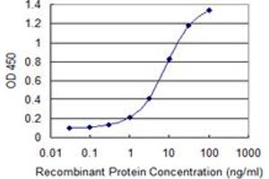 Detection limit for recombinant GST tagged PJA2 is 0. (PJA2 antibody  (AA 302-400))