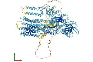 AlphaFold protein structure predicition of Mouse Recombinant Atp13a1 Protein, UniprotID Q9EPE9