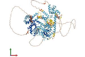 AlphaFold protein structure predicition of Mouse Recombinant Smarcad1 Protein, UniprotID Q04692