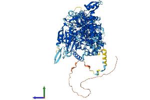 Protein Structure (PS) image for Nucleolar Protein 6 (NOL6) (AA 1-1152) protein (His tag) (ABIN7564719)