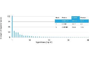 Protein Array (PAr) image for anti-Family with Sequence Similarity 107, Member A (FAM107A) antibody (ABIN7456175) (FAM107A antibody)