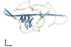 AlphaFold protein structure predicition of Human Recombinant HGS Protein, UniprotID O14964 (HGS Protein (AA 1-777) (His tag))