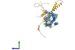 Protein Structure (PS) image for G Protein-Coupled Receptor 135 (GPR135) (AA 1-494) protein (His tag) (ABIN7548151)