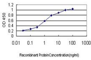 Detection limit for recombinant GST tagged S100A6 is approximately 0. (S100A6 antibody  (AA 18-90))