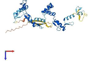 AlphaFold protein structure predicition of Human Recombinant ZNF771 Protein, UniprotID Q7L3S4 (ZNF771 Protein (AA 1-317) (His tag))