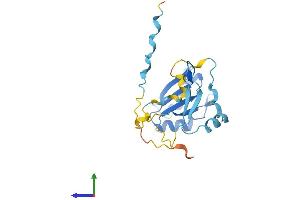 AlphaFold protein structure predicition of Human Recombinant RCAN2 Protein, UniprotID Q14206