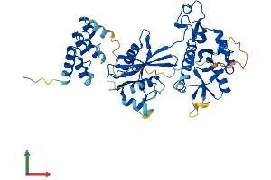 AlphaFold protein structure predicition of Mouse Recombinant Nudt12 Protein, UniprotID Q9DCN1 (NUDT12 Protein (AA 1-462) (His tag))