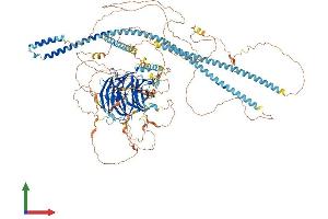 AlphaFold protein structure predicition of Human Recombinant MAPK8IP3 Protein, UniprotID Q9UPT6 (JIP3 Protein (AA 1-1336) (His tag))