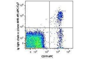 Flow Cytometry (FACS) image for Mouse anti-Human Ig (Light Chain) antibody (APC-Cy7) (ABIN2667072) (Mouse anti-Human Ig (Light Chain) Antibody (APC-Cy7))