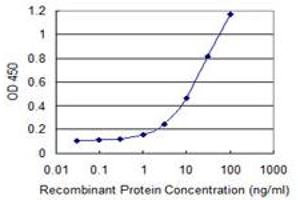 Detection limit for recombinant GST tagged BATF2 is 0. (BATF2 antibody  (AA 1-189))