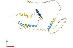 AlphaFold protein structure predicition of Human Recombinant FAM228A Protein, UniprotID Q86W67 (FAM228A Protein (AA 1-206) (His tag))