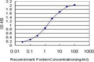 Detection limit for recombinant GST tagged CUTL1 is approximately 0. (CUX1 antibody  (AA 521-620))