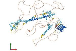AlphaFold protein structure predicition of Mouse Recombinant Lemd3 Protein, UniprotID Q9WU40