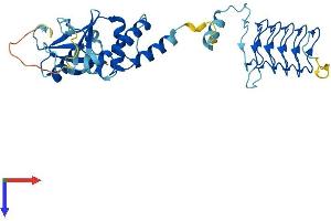 AlphaFold protein structure predicition of Mouse Recombinant Kctd9 Protein, UniprotID Q80UN1
