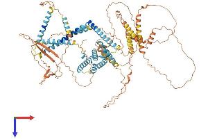 AlphaFold protein structure predicition of Mouse Recombinant Akap3 Protein, UniprotID O88987 (AKAP3 Protein (AA 1-864) (His tag))