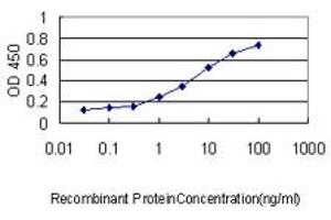 Detection limit for recombinant GST tagged PPIA is approximately 0. (PPIA antibody  (AA 1-165))