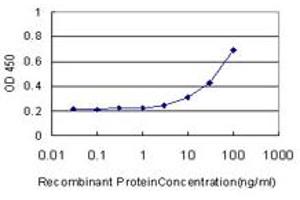 Detection limit for recombinant GST tagged CA8 is approximately 3ng/ml as a capture antibody. (CA8 antibody  (AA 40-139))