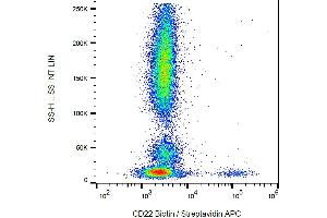Flow cytometry analysis (surface staining) of human peripheral blood cells with anti-CD22 (MEM-01) biotin / streptavidin-APC. (CD22 antibody  (Biotin))