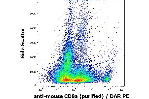 CD8 alpha anticorps