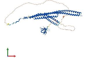 Protein Structure (PS) image for Formin Binding Protein 1-Like (FNBP1L) (AA 1-605) protein (His tag) (ABIN7564610)