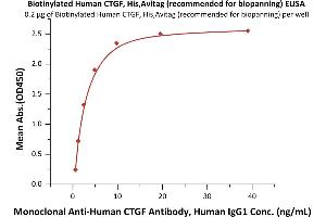 Immobilized Biotinylated Human CTGF, His,Avitag (recommended for biopanning) (ABIN6253582) at 2 μg/mL (100 μL/well) on streptavidin precoated (0.