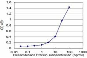 Detection limit for recombinant GST tagged GAPDH is approximately 1ng/ml as a capture antibody. (GAPDH antibody  (AA 226-335))