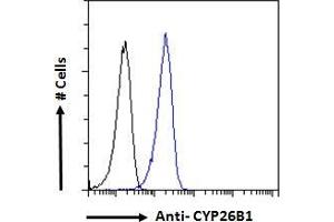 ABIN185731 Flow cytometric analysis of paraformaldehyde fixed A431 cells (blue line), permeabilized with 0. (CYP26B1 antibody  (Internal Region))