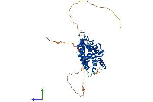 Protein Structure (PS) image for Retinoic Acid Receptor, alpha (RARA) (AA 1-462) protein (His tag) (ABIN7562838)