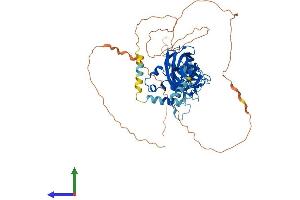 Protein Structure (PS) image for Early B-Cell Factor 4 (EBF4) (AA 1-602) protein (His tag) (ABIN7546706)