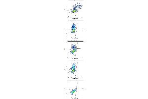 Flow cytometry surface staining patterns of non-transfected HEK-293 cells and HEK-293 cells transfected with KIR-family coding plasmids co-transfected with YFP coding plasmid using anti-human CD158f (UP-R1) APC antibody (10 μL reagent / 100 μL of peripheral whole blood). (KIR2DL5A antibody  (APC))