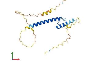AlphaFold protein structure predicition of Human Recombinant TCF21 Protein, UniprotID O43680 (TCF21 Protein (AA 1-179) (His tag))