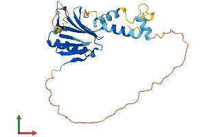 AlphaFold protein structure predicition of Mouse Recombinant Rec114 Protein, UniprotID Q9CWH4