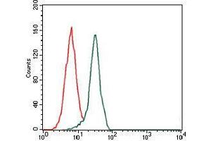 Flow cytometric analysis of HeLa cells using FN1 mouse mAb (green) and negative control (red). (Fibronectin 1 antibody)