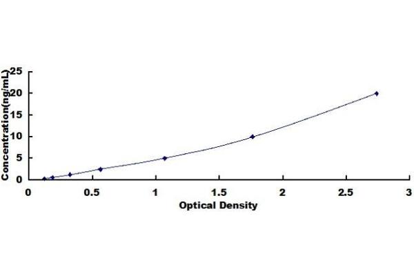 ATP1A2 ELISA Kit