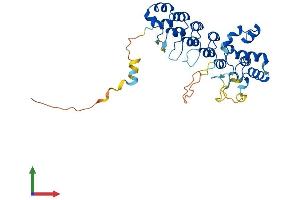 AlphaFold protein structure predicition of Mouse Recombinant Asb1 Protein, UniprotID Q9WV74 (ASB1 Protein (AA 1-336) (His tag))