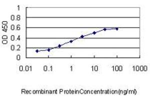Detection limit for recombinant GST tagged NPC1 is approximately 0. (NPC1 antibody  (AA 151-250))