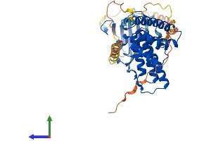 AlphaFold protein structure predicition of Mouse Recombinant Fkbp8 Protein, UniprotID O35465 (FKBP8 Protein (AA 1-402) (His tag))