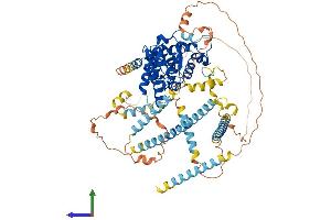 AlphaFold protein structure predicition of Mouse Recombinant Dtna Protein, UniprotID Q9D2N4