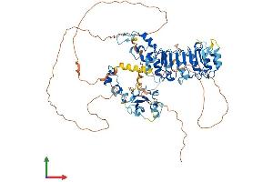AlphaFold protein structure predicition of Human Recombinant FBXL19 Protein, UniprotID Q6PCT2 (FBXL19 Protein (AA 1-694) (His tag))